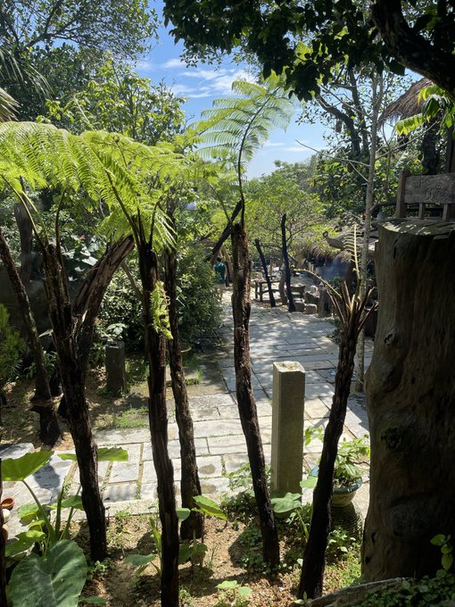 A tranquil garden pathway scene with stone tiles winding through lush green ferns, tropical plants, and wooden posts under a sunny blue sky.