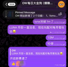 A screenshot of a Telegram chat group in Chinese titled 'OW 今日大金狗 (爆赚...)' with a pinned message about an OW website adding 2 new functions and discussion about 'LUNA币' with messages sent at 6:58 PM and 7:00 PM.