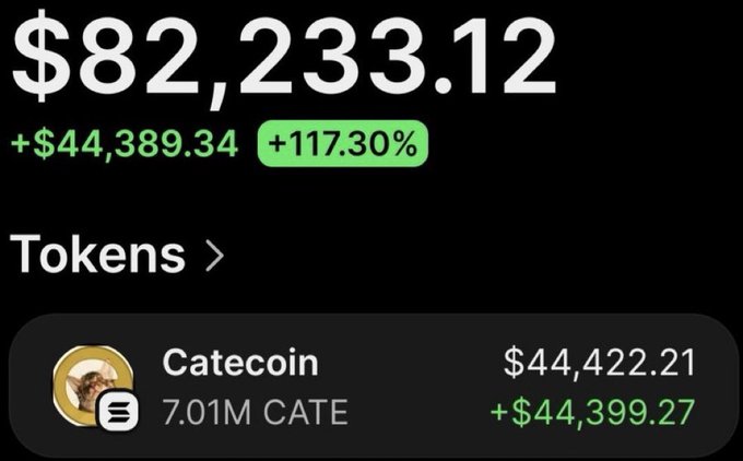 A portfolio screenshot displays a total balance of $82,233.12, with a gain of +$44,389.34 (+117.30%), prominently featuring a position in Catecoin (CATE) worth $44,422.21 with 7.01M tokens held. The image visually supports the post's claim of turning a $6,140 investment in Catecoin into over $79,000 in profit, with the holder having already sold a portion while still holding a significant bag.
