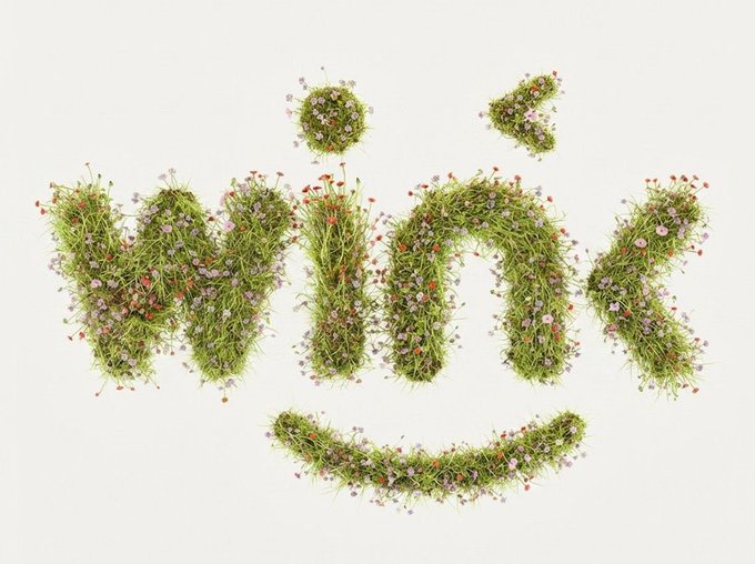 A decorative typography design where the word 'win' is spelled out using grass, small flowers, and plants on a white background, with a smile-shaped grass element underneath.