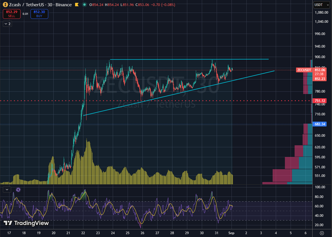 A Binance TradingView chart for 'Zcash / TetherUS' (ZECUSDT) on 30m timeframe showing a triangle pattern at approximately $853.06 with technical analysis indicators.