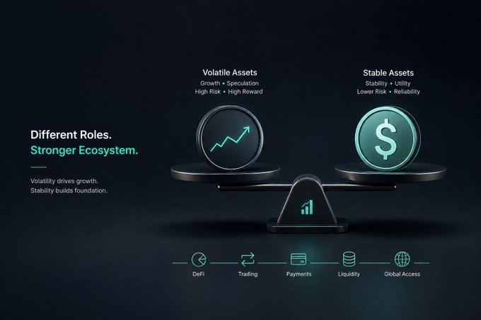 A financial infographic titled 'Different Roles. Stronger Ecosystem.' showing a balance scale weighing 'Volatile Assets' (Growth, Speculation, High Risk, High Reward) against 'Stable Assets' (Stability, Utility, Lower Risk, Reliability), with categories including DeFi, Trading, Payments, Liquidity, and Global Access.