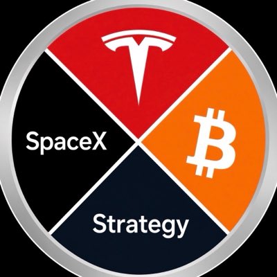 A circular graphic divided into four quadrants: 'Tesla' (red), 'Bitcoin' (orange), 'Strategy' (blue), and 'SpaceX' (black).
