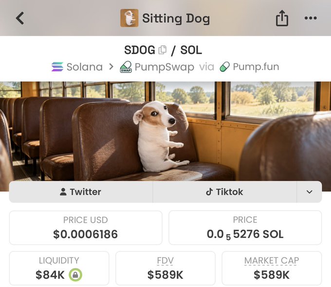 The image displays the Sitting Dog (SDOG/SOL) token page on a Solana-based trading platform, showing a puppy sitting on a bus seat with a price of $0.0006186, market cap of $589K, and liquidity of $84K. This relates to the post by presenting SDOG as the top "animal runner" memecoin, positioning it as the action buyers should take instead of just talking about wanting animal-themed meme coins.