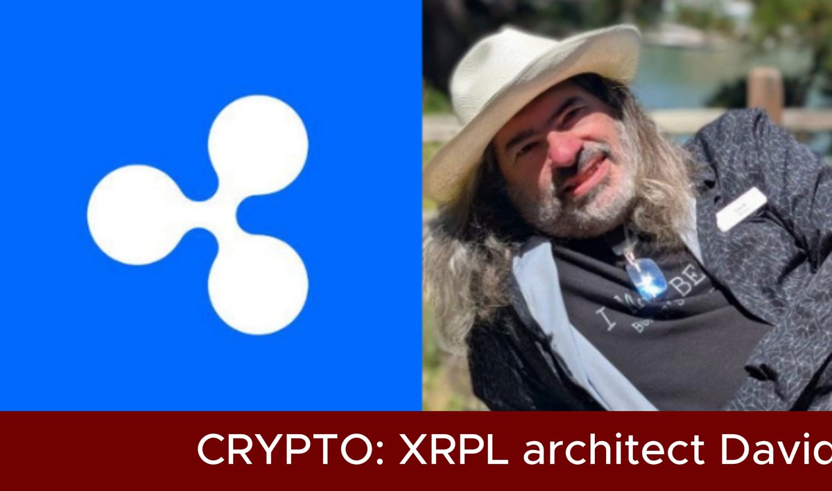In this image, there is an architectural illustration featuring a person wearing a white hat with a logo of a three-pointed star, symbolizing cryptocurrency. Above the illustration, a caption is displayed that reads " Crypto: XRP Ledger architect David Schwartz says a state can disrupt XRPL but cannot mute it."
The title of the post and the caption are in blue, standing out against the brown background. The main subject, which is the person wearing the hat, takes up most of the image space.