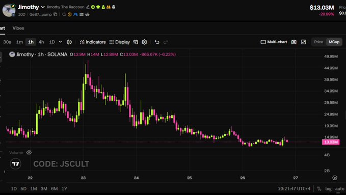 A TradingView candlestick chart for $JIMOTHY ("Jimothy The Raccoon") on Solana shows a price of $13.03M, down -6.23% over the past hour, with the meme coin's market cap declining sharply from a peak around $49.9M to its current low level — visually supporting the post's claim that the hype for the "raccoon with short spine syndrome" has faded, similar to the prior $PUNCH runner.