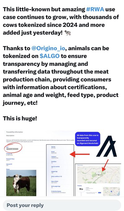 A social media post about a #RWA use case involving tokenized cows, crediting @Origino_io and $ALGO for transparent meat production tracking, with an accompanying screenshot of a cow's traceability information.
