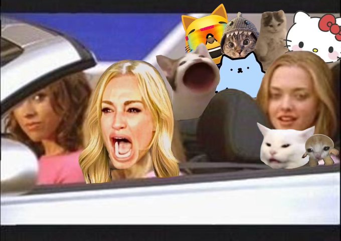 The image shows the viral "Woman Yelling at Cat" meme, featuring a blonde woman shouting at a white cat, surrounded by chaotic emoji stickers (laughing cat, Hello Kitty, OMG cat, screaming cat, and gray cats). The caption relates to the meme by humorously positioning the user as the meme's "King of Losers" ready to launch "Woman Yelling at Cat coin" as a Solana blockchain token aimed at achieving billions in value.