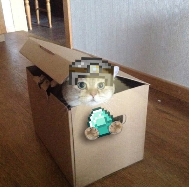 An adorable cat sits inside a cardboard box on a wooden floor, with its head and a pixelated green diamond pixelated out for privacy.