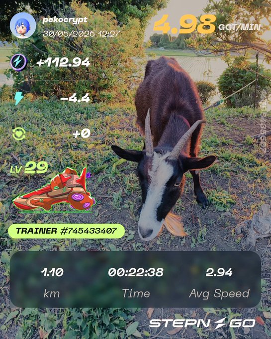 The image shows a goat standing in front of some trees, with a person's face visible behind the goat. The caption for this image reads "今日は黒いぜ！白とは一味違うぜ！ #STEPN #STEPNGO". This caption is related to the post because it is a description of an item in the image, which could be a game or a piece of equipment. The person's face behind the goat adds context and helps explain what the image is about.