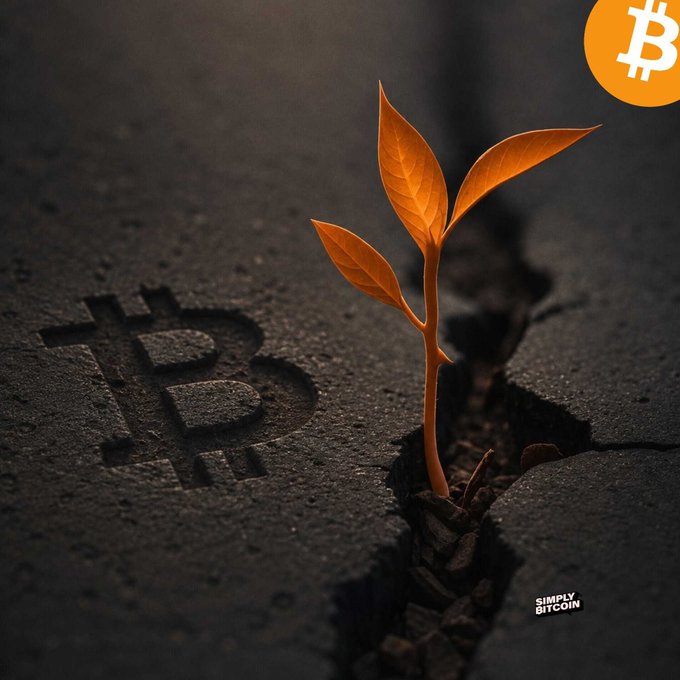 A conceptual image showing a small orange plant sprouting through a Bitcoin logo embedded in dark cracked ground, with a 'SIMPLY BITCOIN' logo and Bitcoin symbol.