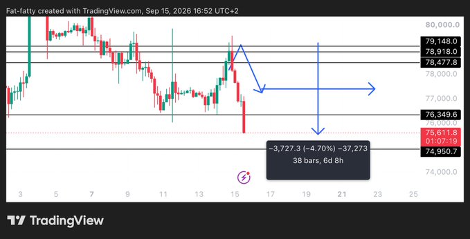 A Bitcoin (Fat-fatty) TradingView chart displays BTC's recent price decline to $74,950.7, with key resistance levels marked at $78,477.8, $78,918, and $79,148, and support at $75,611.8, suggesting the trader is pausing analysis until tomorrow's update.