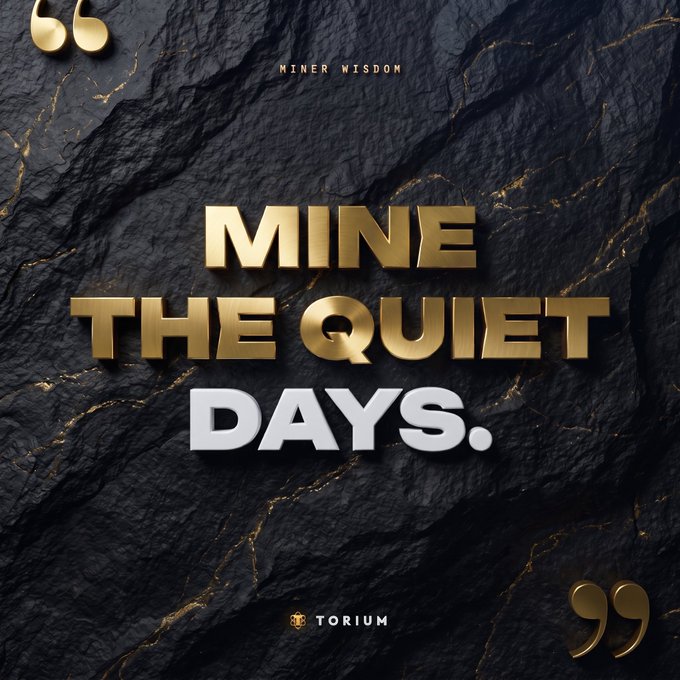 A motivational graphic with a textured black and gold marble background displays the text 'MINER WISDOM' above the large bold quote 'MINE THE QUIET DAYS.' and a 'TORIUM' logo.