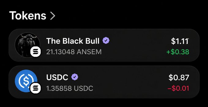 A cryptocurrency portfolio screen showing two tokens: 'The Black Bull' (21.13048 ANSEM) at $1.11 (+$0.38) and USDC (1.35858 USDC) at $0.87 (-$0.01).
