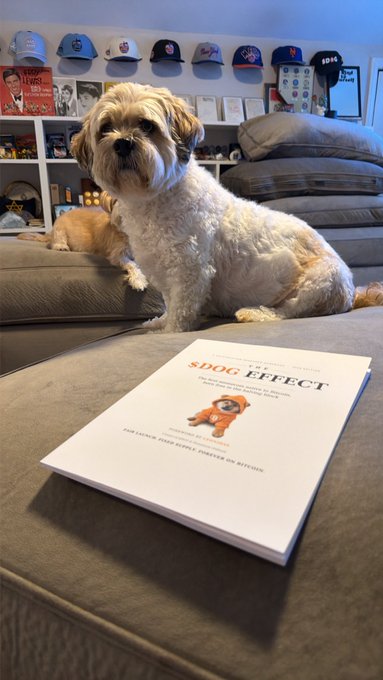 A small fluffy dog sits on a couch behind a book titled 'THE SDOG EFFECT' by A.J. Vandergriff, with a display of baseball caps on shelves in the background.