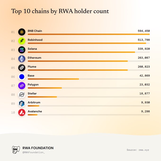 A horizontal bar chart titled "Top 10 chains by RWA holder count" ranks BNB Chain (594,450), Robinhood (513,798), Solana (339,920), Ethereum (263,087), and Plume (260,823) as the top five chains—each surpassing 250,000 RWA holders—followed by Base, Polygon, Stellar, Arbitrum, and Avalanche. The visualization directly supports the post's claim that five chains have crossed the 250K RWA holder threshold, with data sourced from rwa.xyz.