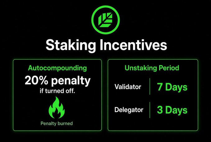 A black digital graphic displays "Staking Incentives" with a green logo, showing "Autocompounding 20% penalty if turned off" with a fire icon, and an "Unstaking Period" of 7 days for Validators and 3 days for Delegators.