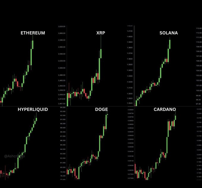 A black-background financial chart displays six cryptocurrency price charts labeled ETHEREUM, XRP, SOLANA, HYPERLIQUID, DOGE, and CARDANO, all showing upward trends with green and red candles.