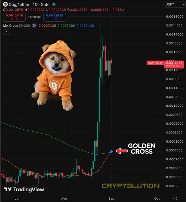 A TradingView cryptocurrency chart showing Dog/Tether (DOGUSDT) price action with a Shiba Inu dog wearing a Bitcoin hoodie, highlighting a 'GOLDEN CROSS' pattern on the MA 50/200 indicators.