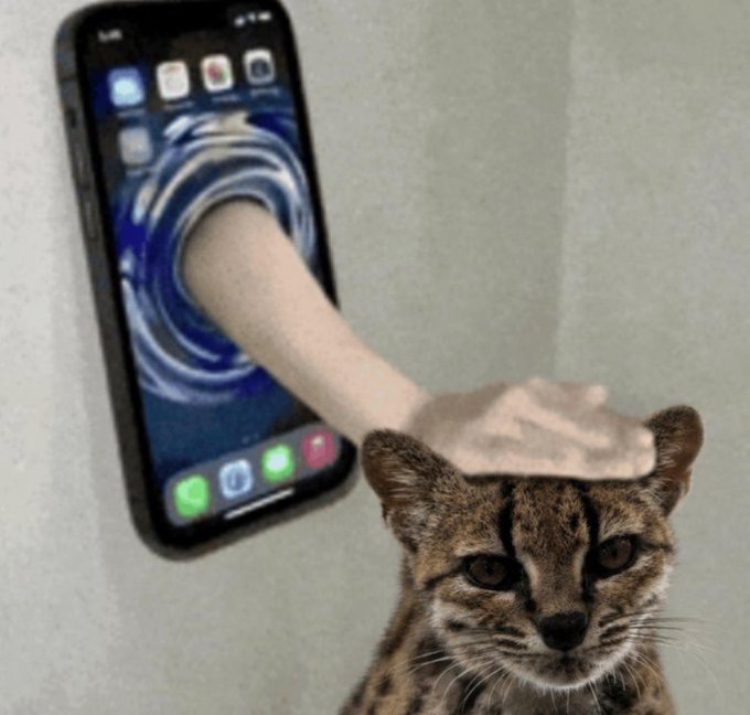 A surreal image showing a human hand emerging from a smartphone screen and resting on the head of a small spotted wild cat.