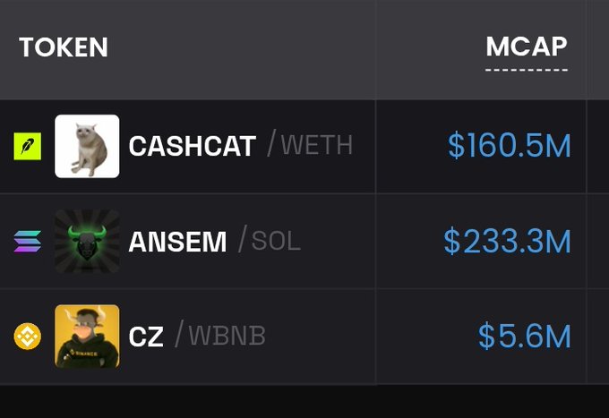 The image displays a memecoin leaderboard showing three tokens with their market caps: CASHCAT (WETH) at $160.5M, ANSEM (SOL) at $233.3M, and CZ (WBNB) at $5.6M. This illustrates the post's point about memecoins shifting from universally appealing themes (like Doge or Pepe) to hyper-localized, community-specific tokens that cater to niche audiences within crypto.