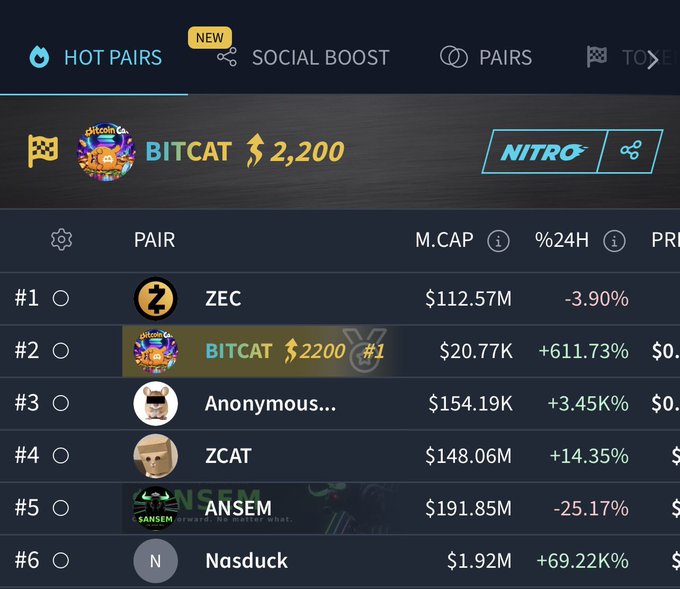 A screenshot of a "HOT PAIRS" cryptocurrency trading interface listing pairs such as ZEC, BITCAT ($2,200), Anonymous, ZCAT, ANSEM, and Nasduck along with their market caps and 24-hour percentage changes.
