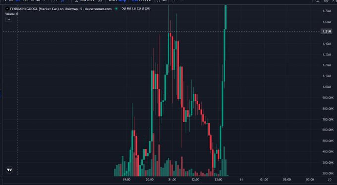 A candlestick chart of FLYBRAWN/GOOGL on Dogescreener shows an explosive surge with a large green candle spiking to approximately 1.51M, representing the kind of dramatic upward move the post is celebrating for holders.