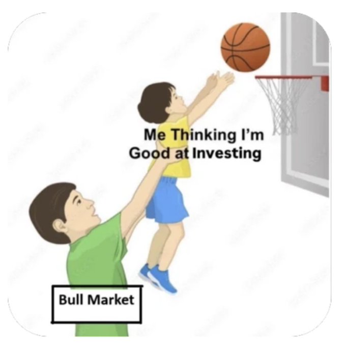 A cartoon shows a child ("Me Thinking I'm Good at Investing") about to dunk a basketball while being lifted by a man labeled "Bull Market," humorously illustrating how a rising market inflates investors' confidence. The post's "charts need to touch grass" sentiment ties in by suggesting even with all that momentum, the soaring self-image still needs a reality check.