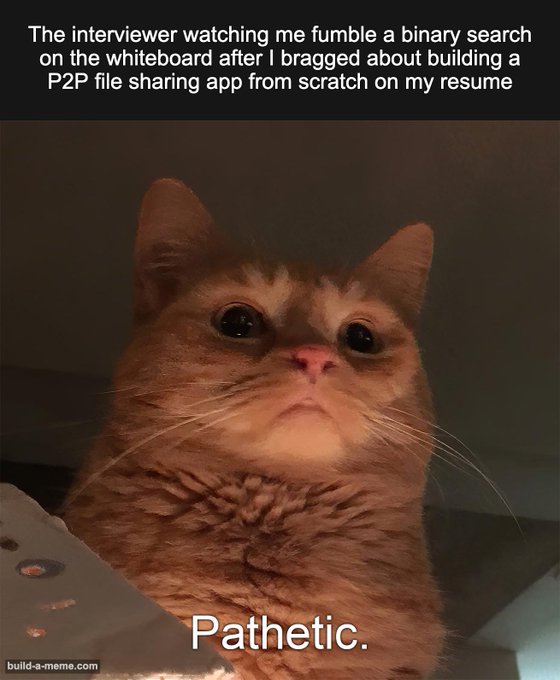 A meme featuring a close-up of an orange tabby cat looking dejected with the caption 'Pathetic.', topped with text about an interviewer watching someone fumble a binary search after bragging about building a P2P file sharing app.
