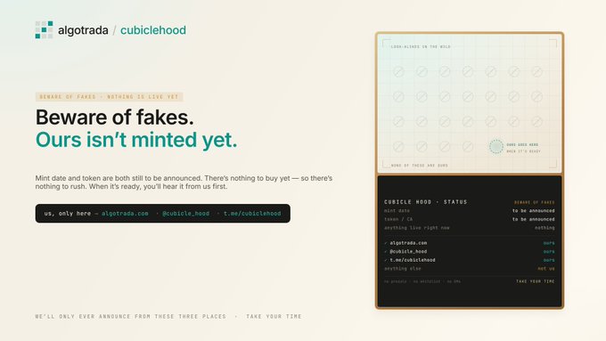 The image displays a warning announcement from "algotrada / cubiclehood" alerting users "Beware of fakes. Ours isn't minted yet," with a status panel indicating that the mint date is "soon" and the contract address (CA) is "to be announced," directing them to trust only the verified handles @cubiclehood, algotrada.com, and t.me/cubiclehood. This visually reinforces the accompanying post's message that all currently circulating "Cubicle" tokens are scams, as the legitimate token has not yet launched.