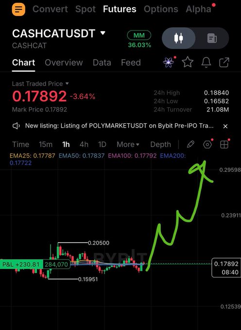 A trading chart for CASHCATUSDT on the Bybit platform showing a price of 0.17892 with a -3.64% change, featuring a large green hand-drawn line indicating a significant upward trend.
