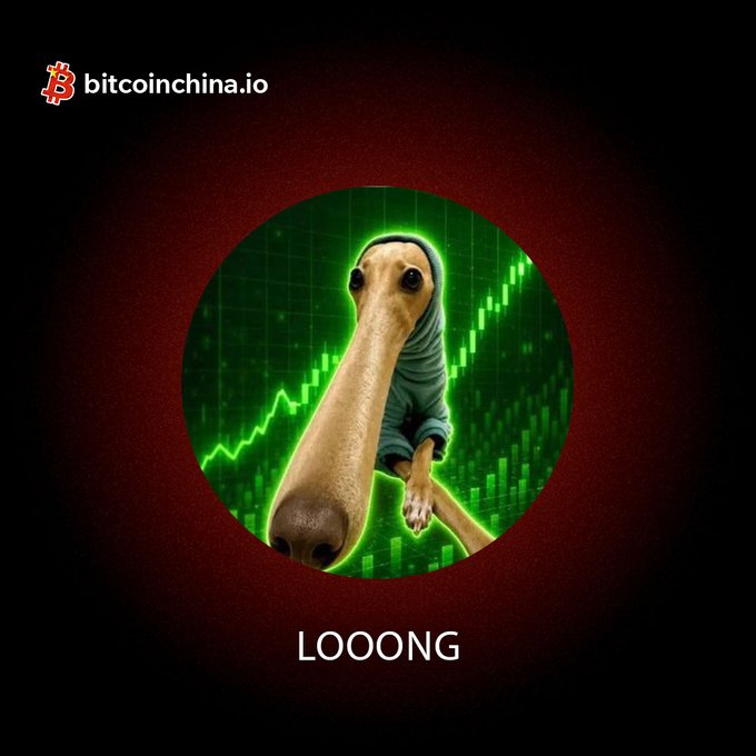 The image features a stylized alien character with an elongated face wearing a green hoodie, set against a green candlestick chart background, with "bitcoinchina.io" and Bitcoin logo in the top left corner and "LOOONG" text below. It serves as promotional artwork for the new $LOOONG/SOL trading pair listing on the Bitcoin China exchange.