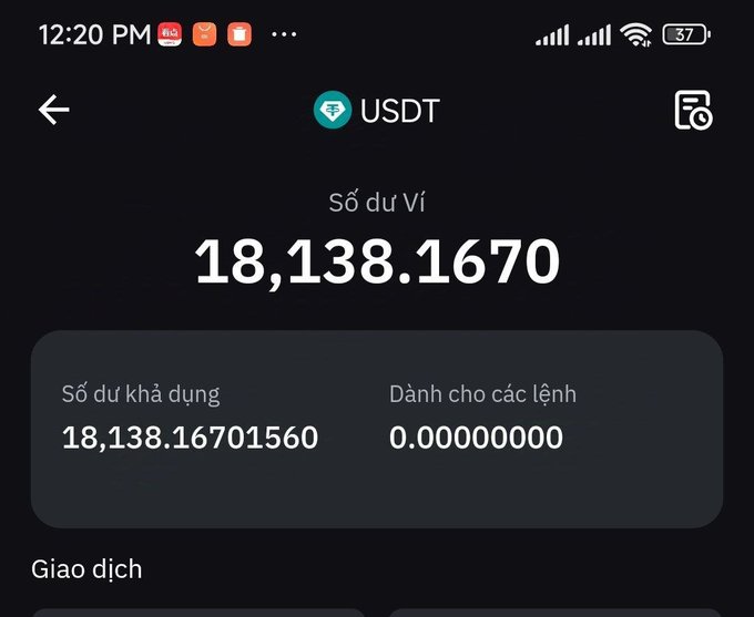 A mobile app screenshot displaying a USDT wallet balance of 18,138.1670 in Vietnamese ('Số dư Ví'), with an available balance ('Số dư khả dụng') of 18,138.16701560 and 0.00000000 allocated for orders ('Dành cho các lệnh').