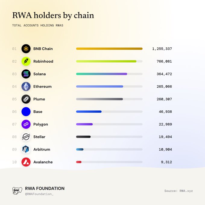 RWA Foundation infographic titled 'RWA holders by chain - Total Accounts Holding RWAs,' ranking BNB Chain first (1,255,337), followed by Robinhood (766,081) and Solana (364,472). Source: RWA.xyz.