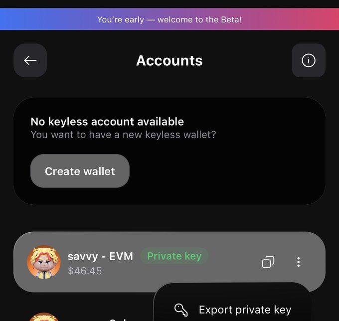A mobile app screen for Accounts showing a 'No keyless account available' message with a Create wallet button, and an existing wallet labeled 'savvy - EVM' with a private key option showing $46.45 balance.