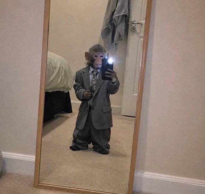 A mirror selfie taken by a small monkey standing on a carpeted floor, wearing an oversized gray suit, a white shirt, and a patterned tie while holding a smartphone.