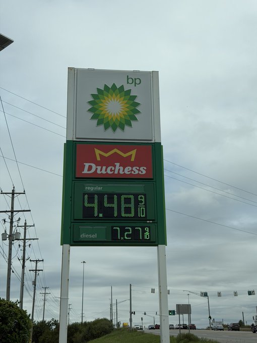 A BP gas station price sign showing regular gasoline at $4.48 9/10 and diesel at $7.27 9/10, with the green and yellow BP sunburst logo and a red 'Duchess' sign below.