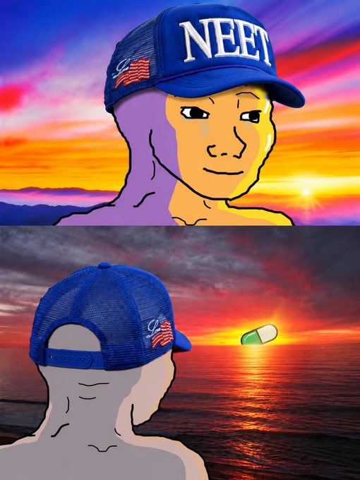 A two-panel stylized illustration known as the 'NEET' Wojak meme, showing a character wearing a blue cap with 'NEET' written on it, crying while watching a sunset over the ocean with a pill on the horizon.