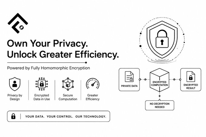 An informational graphic titled 'Own Your Privacy. Unlock Greater Efficiency.' explaining Fully Homomorphic Encryption with icons for Privacy, Encrypted Data, Secure Computation, and Greater Efficiency.
