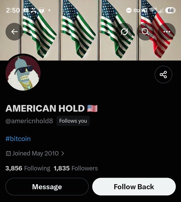 Screenshot of a Twitter/X profile for 'AMERICAN HOLD 🇺🇸' (@americnhold8), joined May 2010, featuring an animated king penguin avatar, the hashtag '#bitcoin', 3,856 Following, and 1,835 Followers.