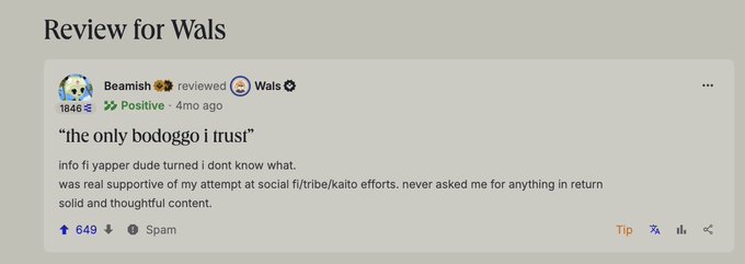 A Steam review by 'Beamish' titled 'ihe only bodoggo i trust' with a positive rating, praising the user 'Wals' for selling FFXIV account content.