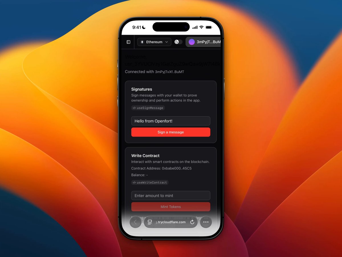 The image shows a smartphone screen displaying an app called "Signatures". The phone's home screen features a red button labeled "Signatures" with a white text box below it, which reads "Connect with us via email or messaging!". The background of the screen is orange and blue, resembling a sunset. The post on social media has a caption that reads: "Really cooking with this one! Any token, any chain. I've been playing with it for some time and it' s remarkable how fast and cheap it is."