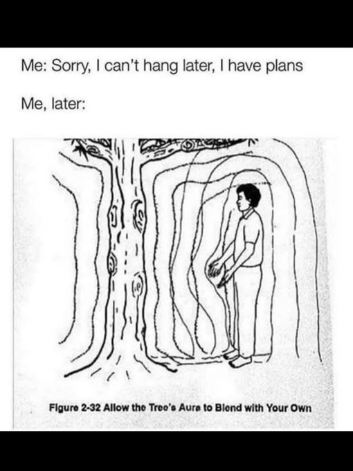 A meme with the caption "Me: Sorry, I can't hang later, I have plans" followed by "Me, later:" showing an illustration labeled "Figure 2-32 Allow the Tree's Aura to Blend with Your Own" of a person standing still and merging with a tree, humorously suggesting that one's "plans" were just standing motionless against a tree.