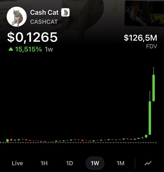 A cryptocurrency chart for 'Cash Cat' (ticker CASHCAT) priced at $0.1265 with FDV of $126.5M, showing an extraordinary 15,515% gain over 1 week on the 1W timeframe view.
