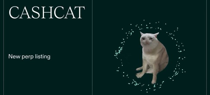 A dark green graphic with white text 'CASHCAT' and 'New perp listing' next to a 3D-rendered orange and white cat.