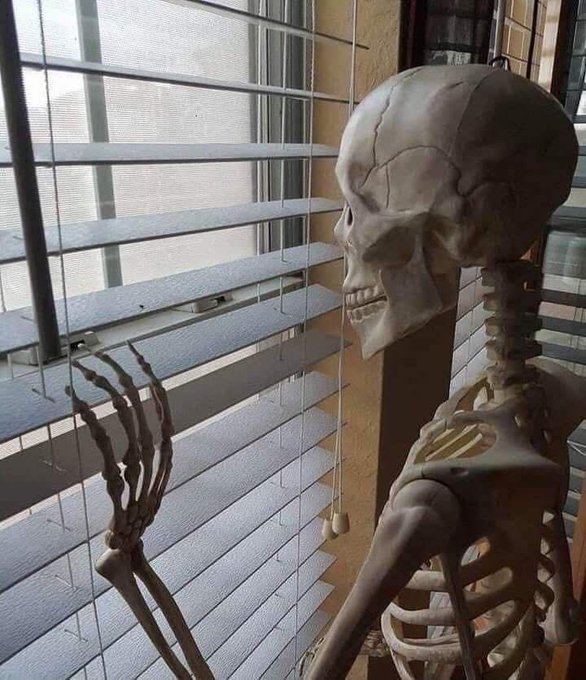 The image features a skeleton of a human body, possibly a taxidermy or plaster model, standing next to a window with blinds. The skeleton appears to be looking out the window, as if waiting for something or someone. There are no texts or other objects in the image that provide context about the post.