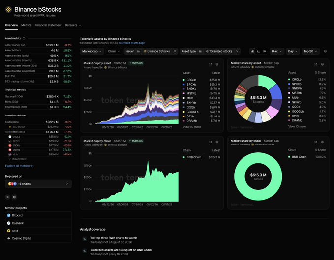 A dashboard for "Binance bStocks" displaying a tokenized assets market cap totaling $616.3M across 63 assets, with charts showing market cap growth from $0 to $616.3M over three months and an asset breakdown where CRCLb leads at 13.9% share, followed by SPYcb and TSLAcb.