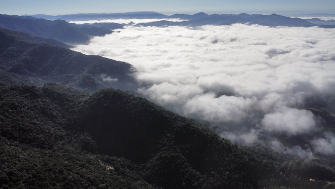 A scenic aerial view of lush green mountain peaks rising above a thick sea of white clouds under a blue sky.