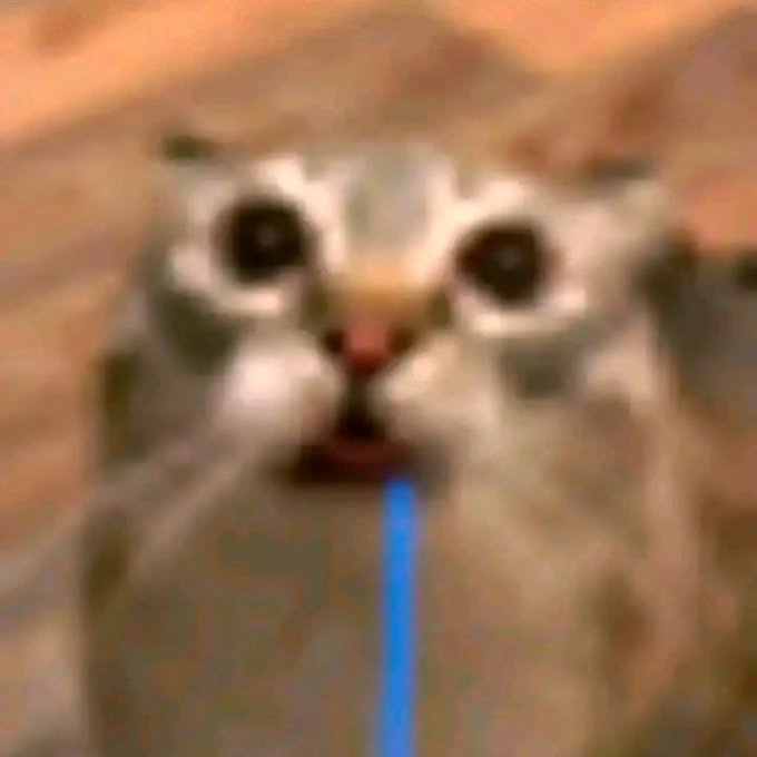 The image features a cat with its mouth open, revealing blue water coming out of it. The cat appears to be licking or drinking from the water stream. The photo has been edited to include a blue line running through the center of the image, which is likely meant to represent the water stream. The caption at the bottom of the image reads: "Who ever is top holder split pls $drooling".