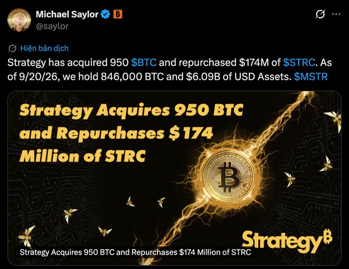 A screenshot of a post by Michael Saylor (@saylor) announcing that Strategy has acquired 950 BTC and repurchased $174M of STRC, bringing holdings to 846,000 BTC and $6.09B in USD assets, accompanied by a graphic featuring a Bitcoin logo with gold lightning and the headline "Strategy Acquires 950 BTC and Repurchases $174 Million of STRC."